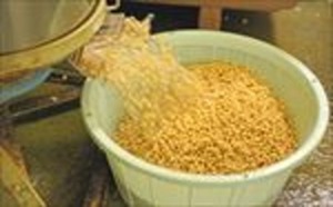 味噌