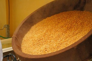 味噌